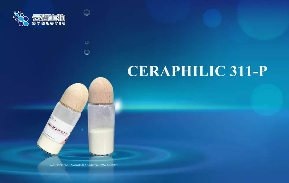 세라마이드의 효과는 무엇인가요?