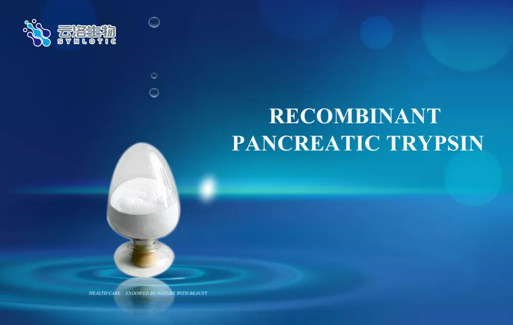 효소의 역할은 무엇입니까?