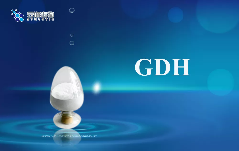 효소의 기본 개념은 무엇입니까?