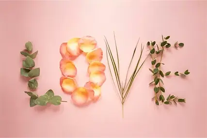 520 고백의 계절丨고백할 준비가 되셨나요?