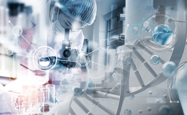 아름다움 뒤의 선택: 화장품과 지속가능한 삶의 깊은 연관성