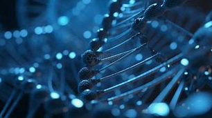 에르고티오네인: 식품 건강 산업의 