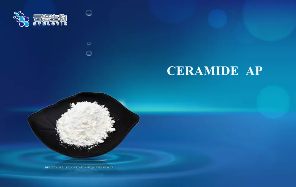 Ceramide AP는 고급 화장품 제형 개발을 어떻게 지원합니까?